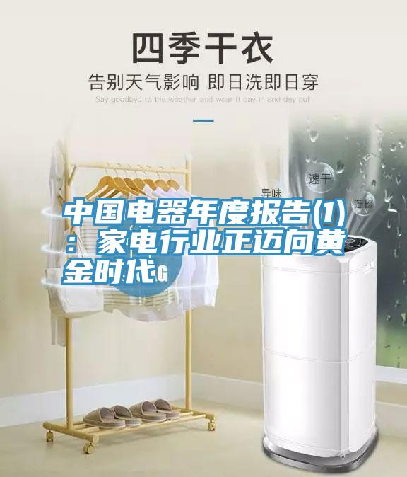 中國(guó)電器年度報(bào)告(1)：家電行業(yè)正邁向黃金時(shí)代