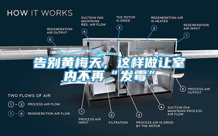 告別黃梅天，這樣做讓室內不再“發(fā)霉”