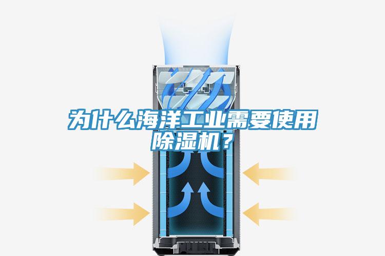 為什么海洋工業需要使用除濕機？