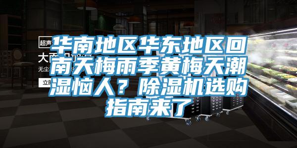 華南地區華東地區回南天梅雨季黃梅天潮濕惱人？除濕機選購指南來了