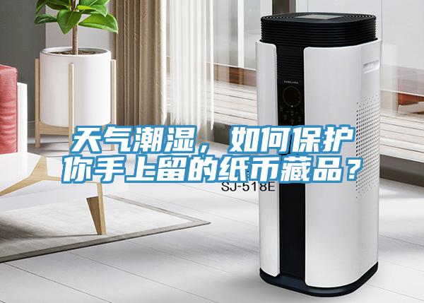 天氣潮濕，如何保護你手上留的紙幣藏品？