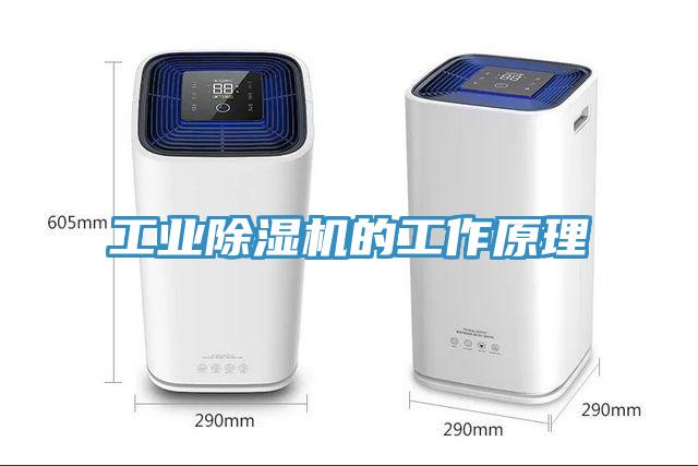 工業除濕機的工作原理