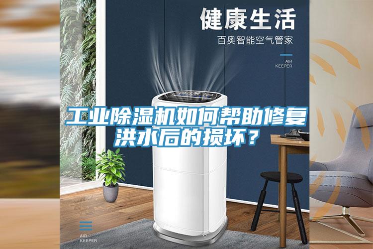 工業除濕機如何幫助修復洪水后的損壞？