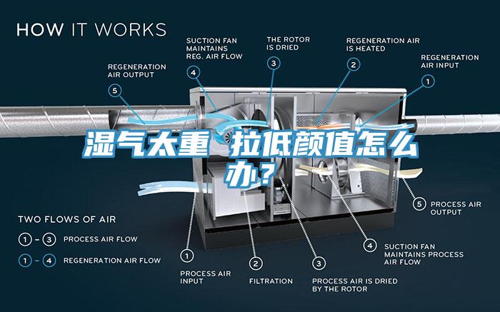 濕氣太重 拉低顏值怎么辦？