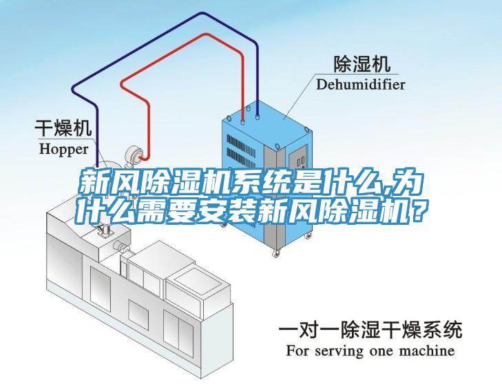 新風除濕機系統是什么,為什么需要安裝新風除濕機？