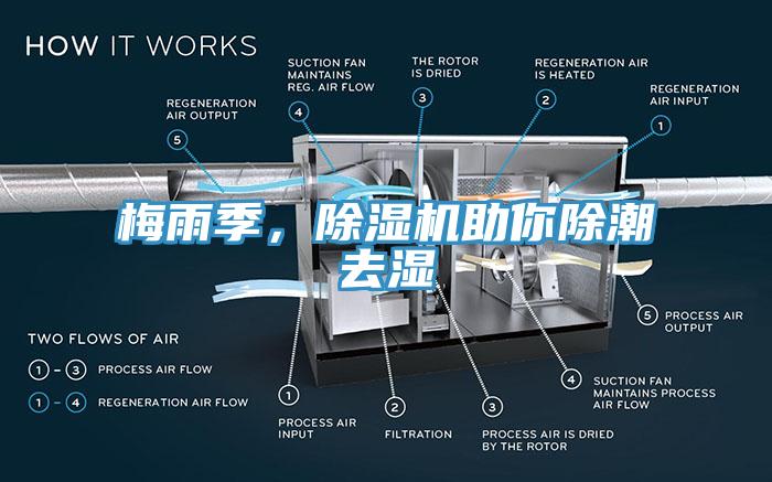 梅雨季，除濕機助你除潮去濕