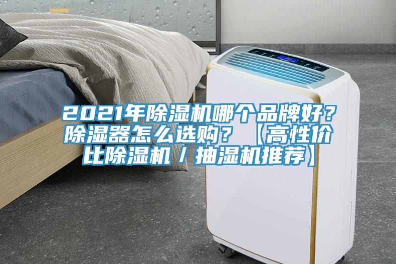 2021年除濕機哪個品牌好？除濕器怎么選購？【高性價比除濕機／抽濕機推薦】