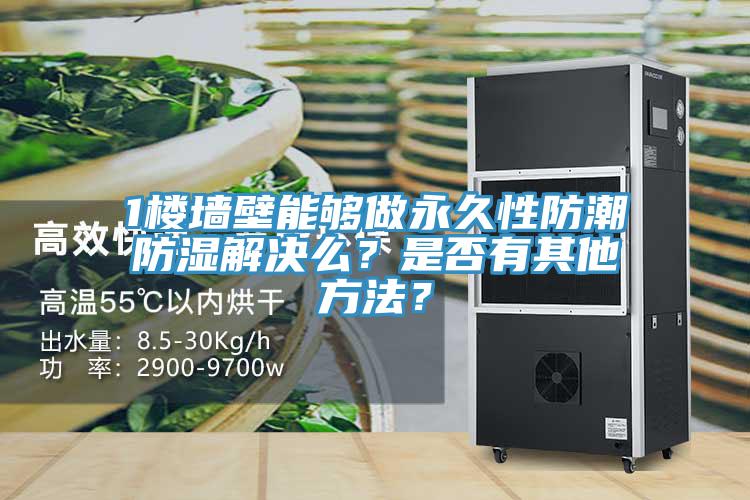 1樓墻壁能夠做永久性防潮防濕解決么？是否有其他方法？