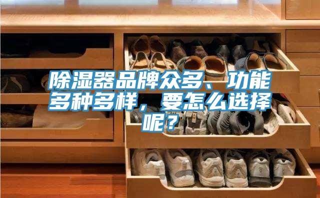 除濕器品牌眾多、功能多種多樣，要怎么選擇呢？