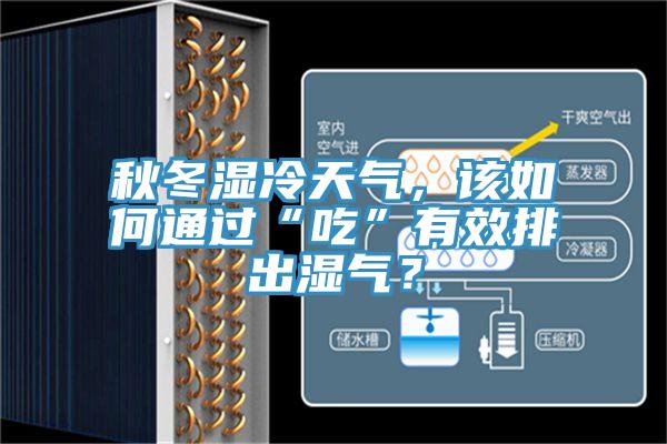 秋冬濕冷天氣，該如何通過(guò)“吃”有效排出濕氣？