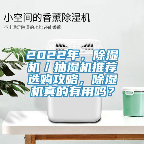 2022年，除濕機／抽濕機推薦選購攻略，除濕機真的有用嗎？