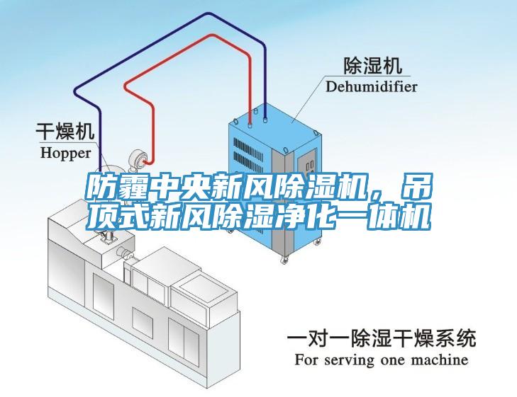 防霾中央新風除濕機，吊頂式新風除濕凈化一體機