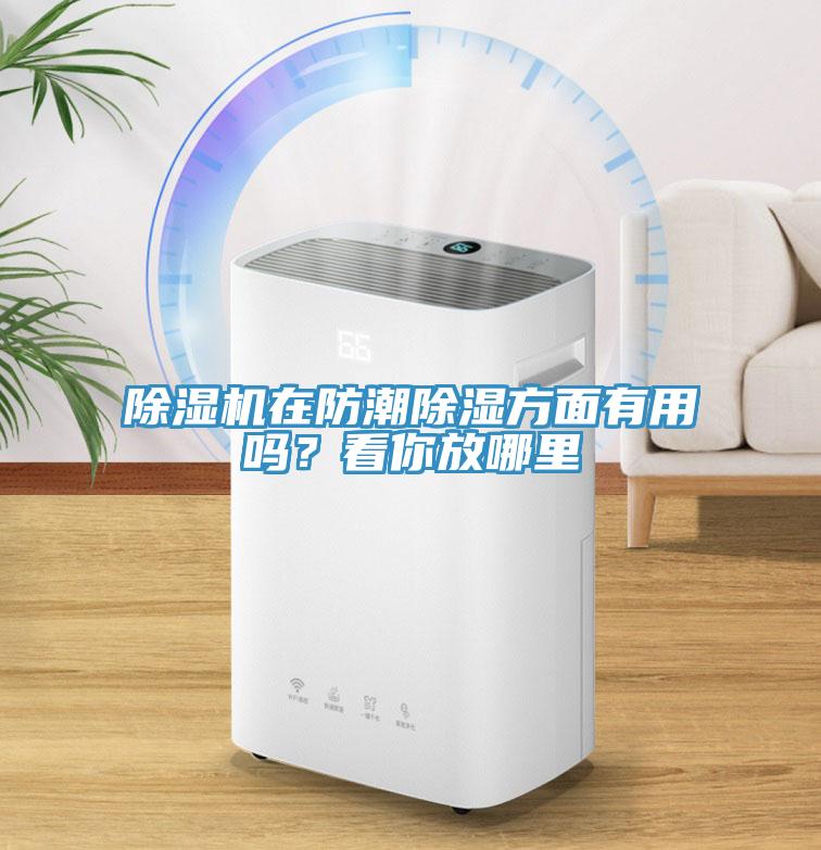 除濕機在防潮除濕方面有用嗎？看你放哪里