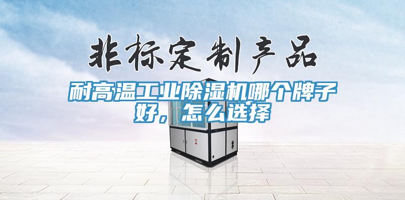 耐高溫工業(yè)除濕機(jī)哪個(gè)牌子好，怎么選擇