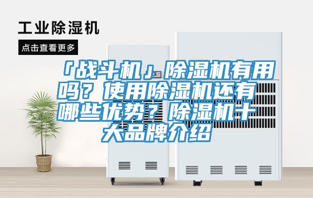 「戰斗機」除濕機有用嗎？使用除濕機還有哪些優勢？除濕機十大品牌介紹