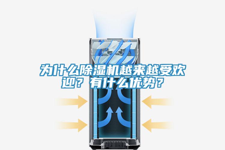 為什么除濕機越來越受歡迎？有什么優勢？