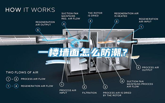 一樓墻面怎么防潮？