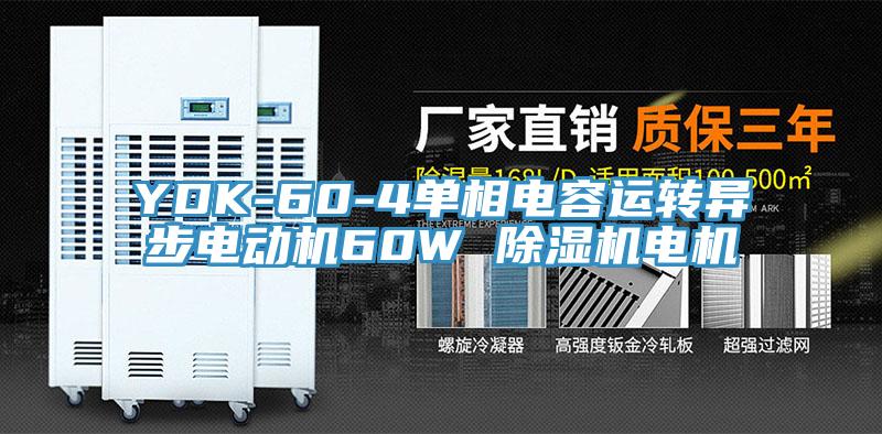 YDK-60-4單相電容運轉異步電動機60W 除濕機電機