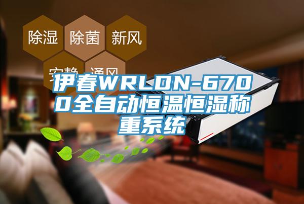 伊春WRLDN-6700全自動恒溫恒濕稱重系統(tǒng)