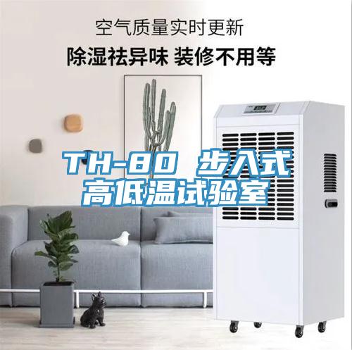 TH-80 步入式高低溫試驗(yàn)室