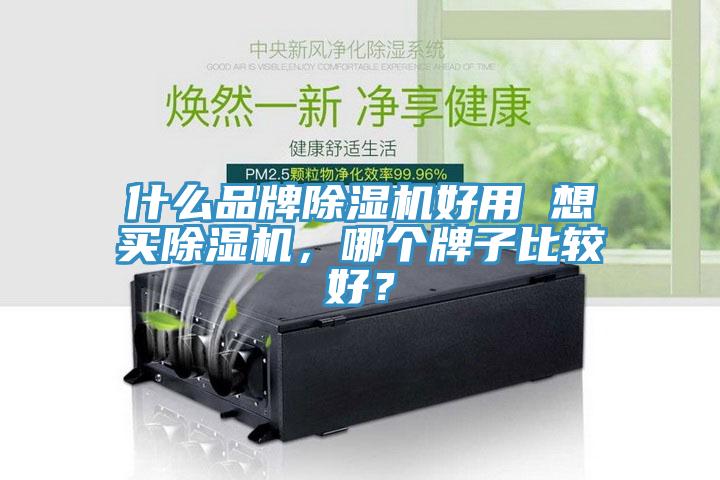 什么品牌除濕機好用 想買除濕機，哪個牌子比較好？