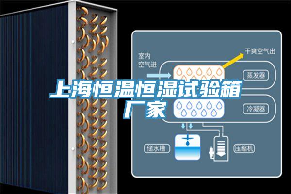 上海恒溫恒濕試驗(yàn)箱廠(chǎng)家