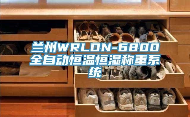 蘭州WRLDN-6800全自動(dòng)恒溫恒濕稱重系統(tǒng)