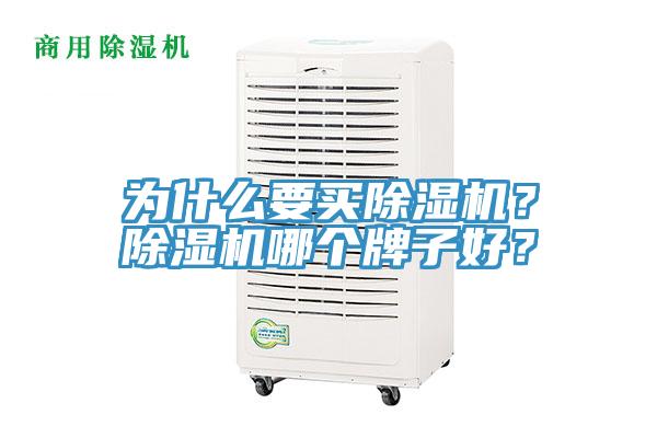 為什么要買除濕機？除濕機哪個牌子好？