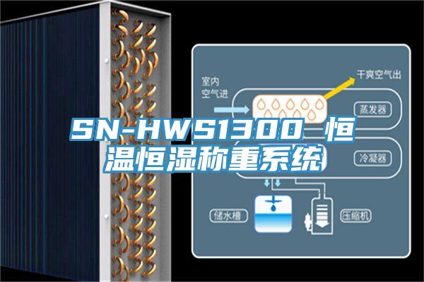 SN-HWS1300 恒溫恒濕稱重系統