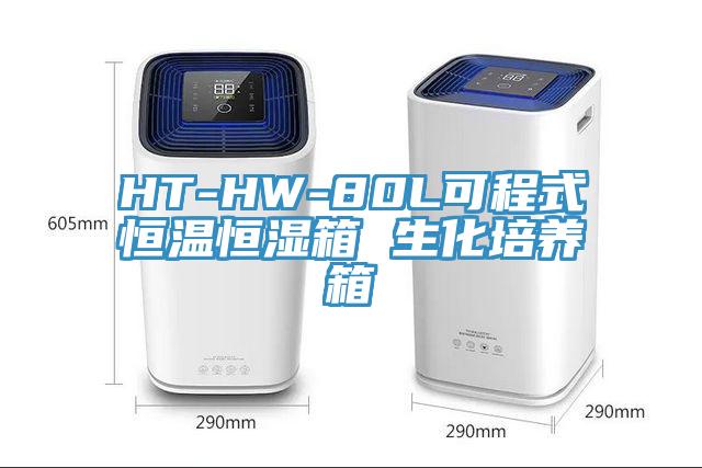 HT-HW-80L可程式恒溫恒濕箱 生化培養箱