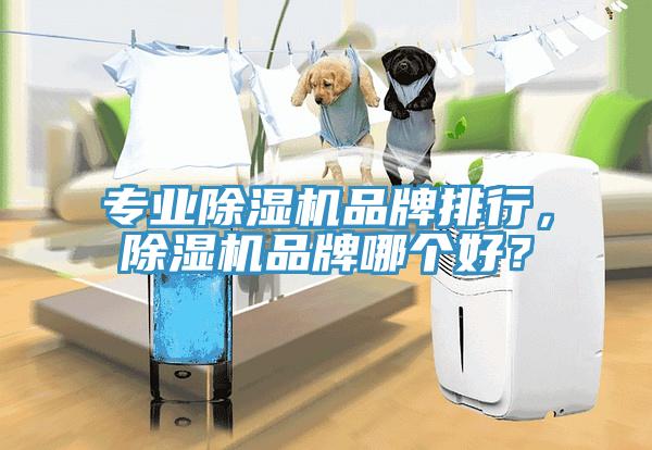 專業除濕機品牌排行，除濕機品牌哪個好？