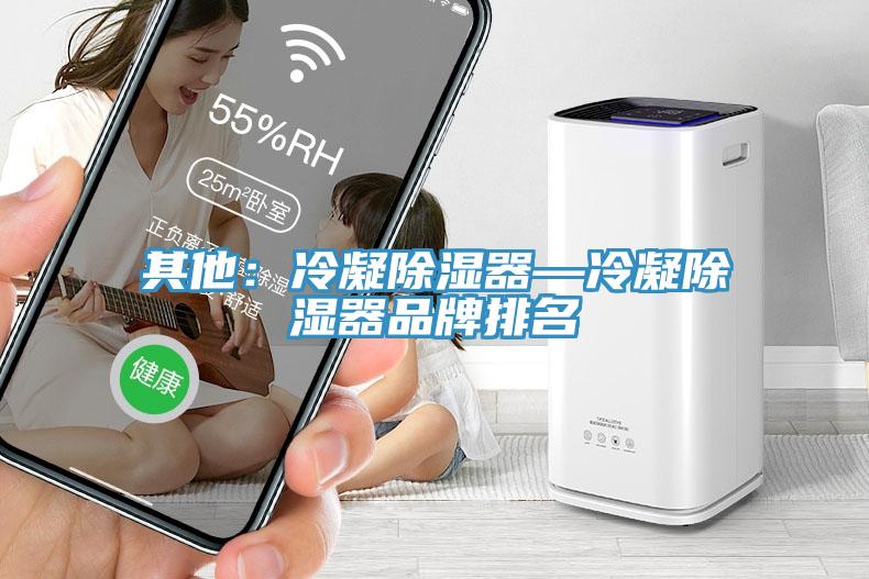 其他：冷凝除濕器—冷凝除濕器品牌排名