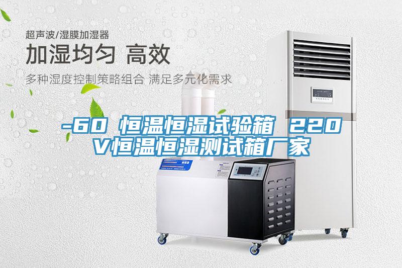 -60℃恒溫恒濕試驗(yàn)箱 220V恒溫恒濕測試箱廠家