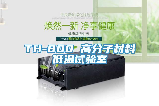 TH-800 高分子材料低溫試驗(yàn)室