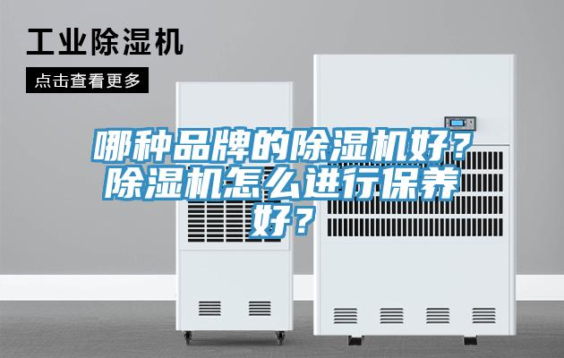 哪種品牌的除濕機好？除濕機怎么進行保養好？