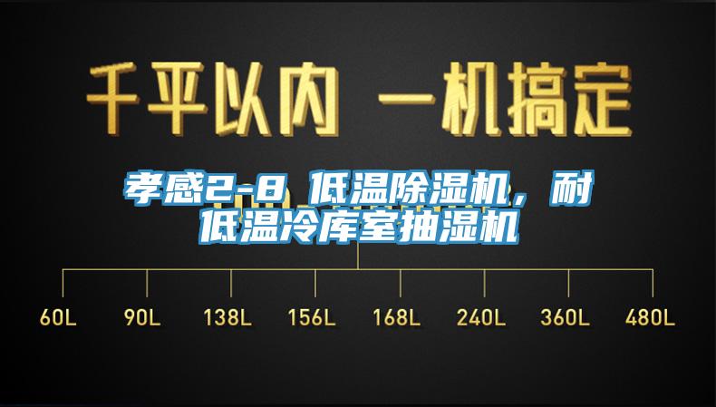 孝感2-8℃低溫除濕機，耐低溫冷庫室抽濕機