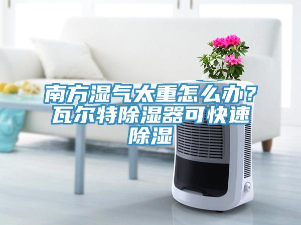 南方濕氣太重怎么辦？瓦爾特除濕器可快速除濕