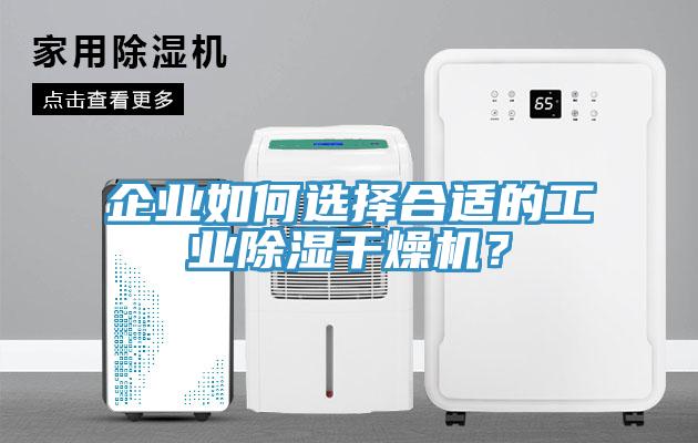 企業如何選擇合適的工業除濕干燥機？