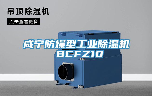 咸寧防爆型工業除濕機 BCFZ10