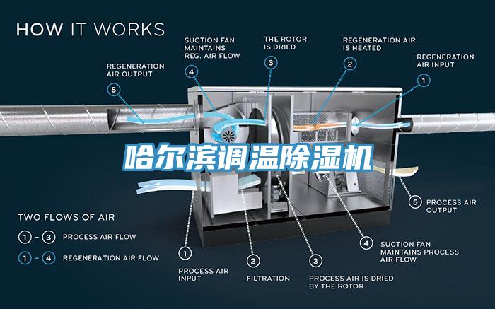 哈爾濱調(diào)溫除濕機(jī)