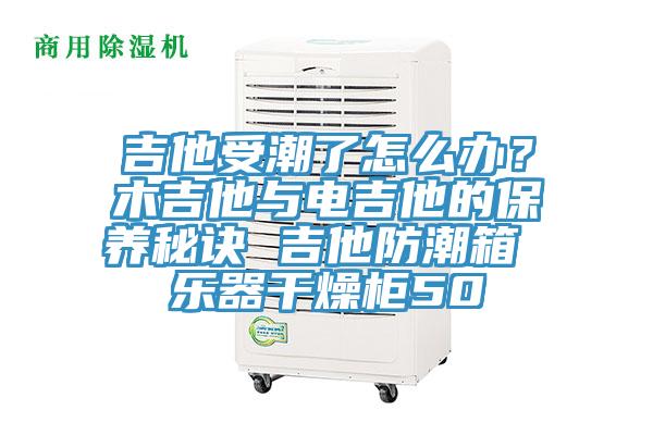 吉他受潮了怎么辦？木吉他與電吉他的保養秘訣 吉他防潮箱 樂器干燥柜50