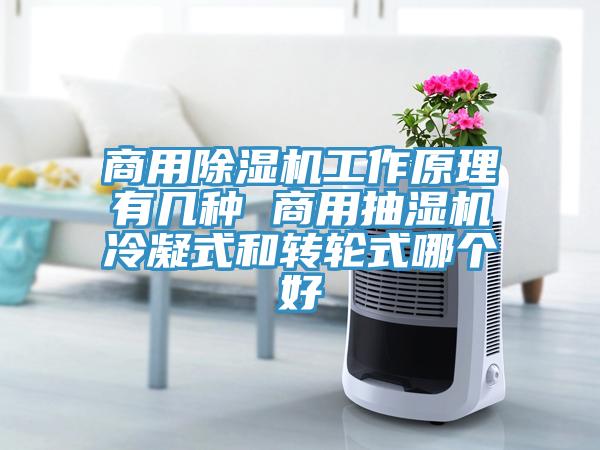 商用除濕機工作原理有幾種 商用抽濕機冷凝式和轉(zhuǎn)輪式哪個好