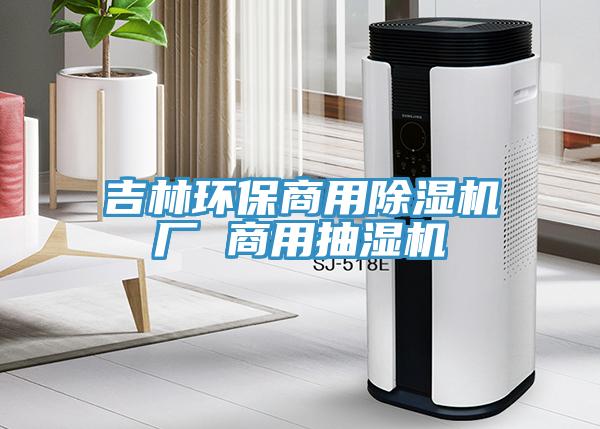 吉林環保商用除濕機廠 商用抽濕機