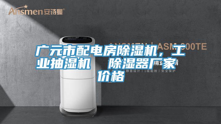 廣元市配電房除濕機，工業抽濕機  除濕器廠家 價格