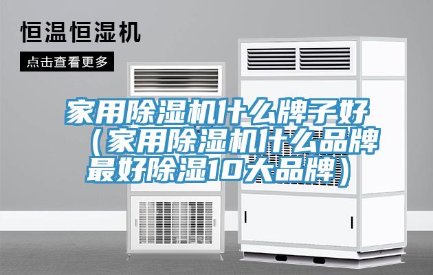 家用除濕機什么牌子好（家用除濕機什么品牌最好除濕10大品牌）