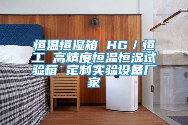 恒溫恒濕箱 HG／恒工 高精度恒溫恒濕試驗箱 定制實驗設(shè)備廠家