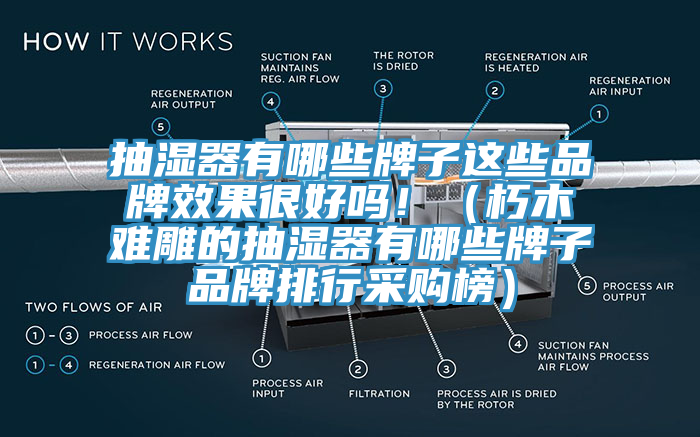 抽濕器有哪些牌子這些品牌效果很好嗎?。ㄐ嗄倦y雕的抽濕器有哪些牌子品牌排行采購榜）