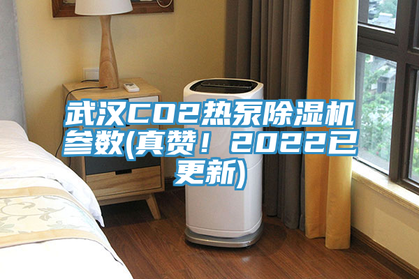 武漢CO2熱泵除濕機參數(真贊！2022已更新)