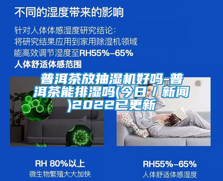 普洱茶放抽濕機好嗎-普洱茶能排濕嗎(今日／新聞)2022已更新