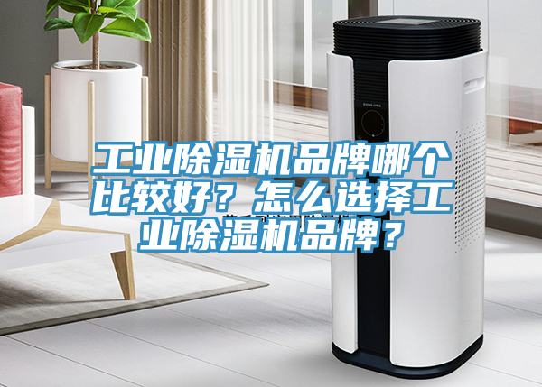 工業(yè)除濕機品牌哪個比較好？怎么選擇工業(yè)除濕機品牌？